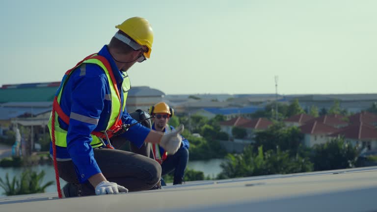 Best Chimney Flashing Repair  in Ivanhoe, TX