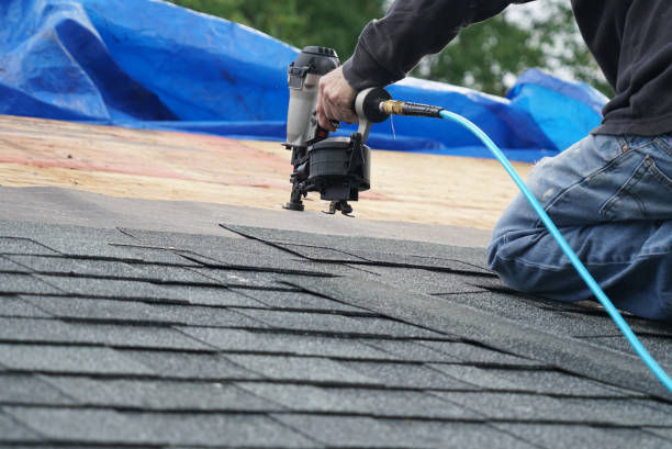 Best Asphalt Shingle Roofing  in Ivanhoe, TX