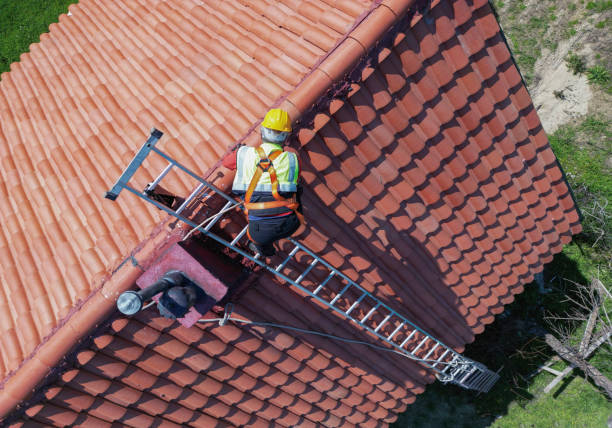 Best Roof Maintenance and Cleaning  in Ivanhoe, TX